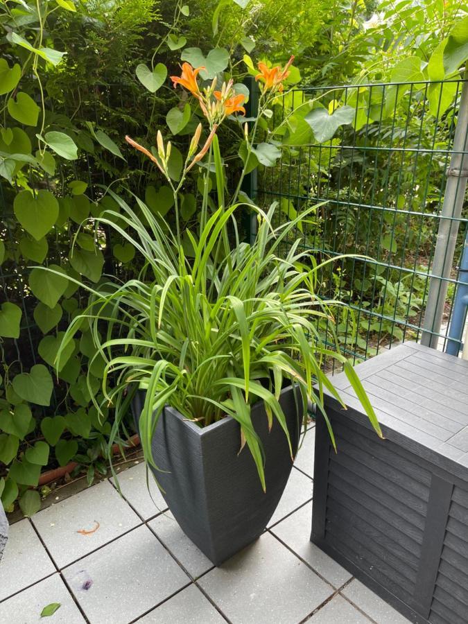 Sonnige Wohnung Im Zentrum Mit Terrasse U Tiefgarage - Netflix & Prime 莱比锡 外观 照片